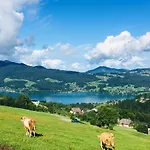 Feichtingerhof * Steinbach am Attersee