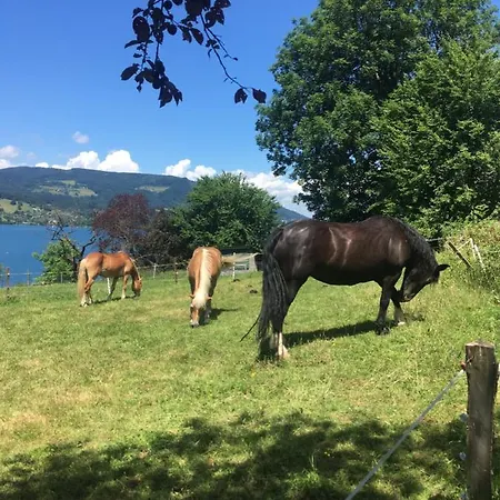 Feichtingerhof Feriegård *