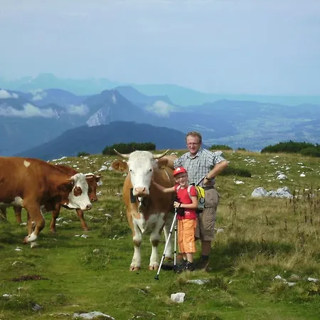 Feichtingerhof * شتاينباخ آم أترزي