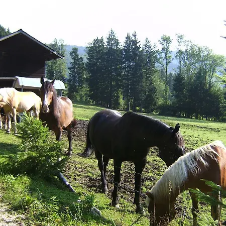 Feichtingerhof