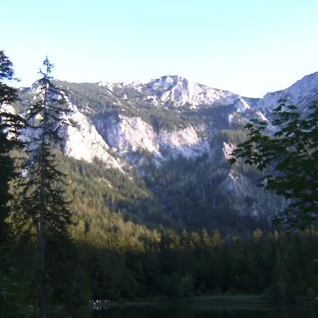 مزرعة للإقامة Feichtingerhof شتاينباخ آم أترزي