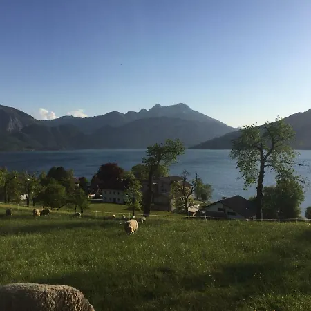 Feriegård Feichtingerhof Steinbach am Attersee