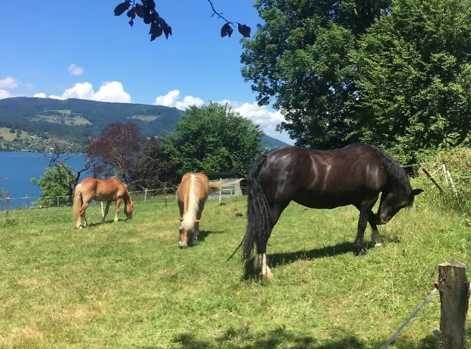 Feichtingerhof Фермерский дом *