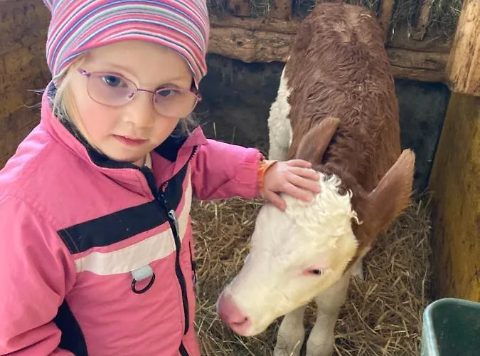 Feichtingerhof Κατάλυμα σε φάρμα