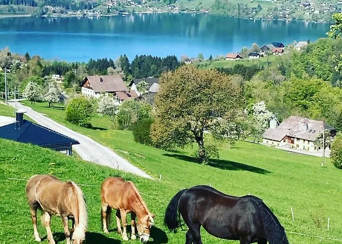 Feichtingerhof Фермерский дом