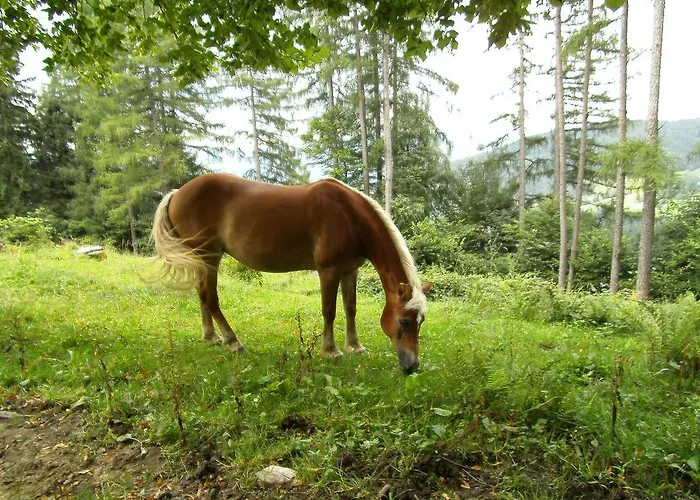 Feichtingerhof * Steinbach am Attersee