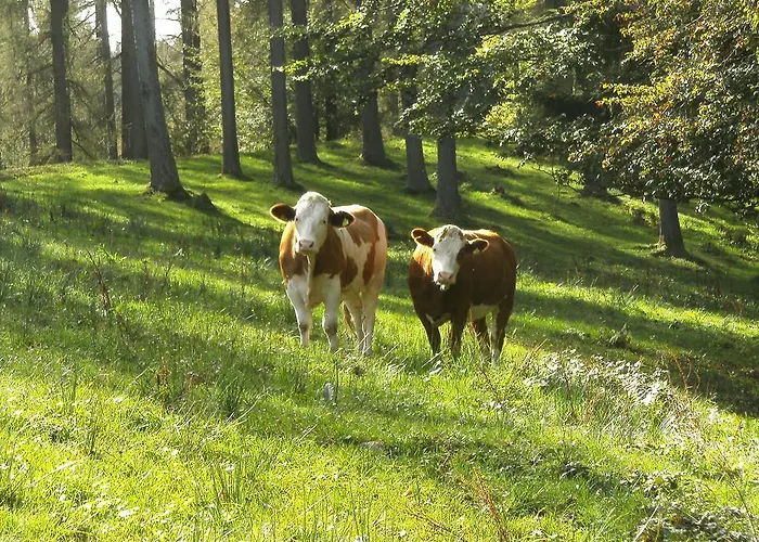 Feichtingerhof * Штайнбах-ам-Аттерзее