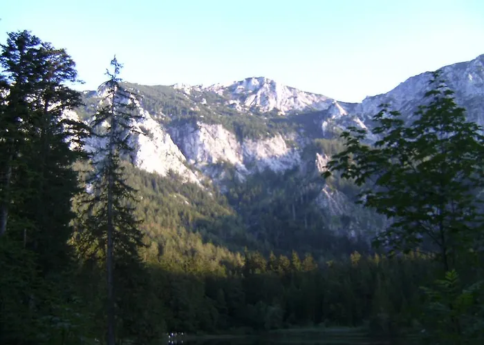 Κατάλυμα σε φάρμα Feichtingerhof Steinbach am Attersee