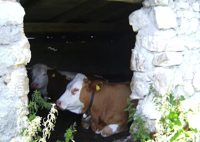 Κατάλυμα σε φάρμα Feichtingerhof