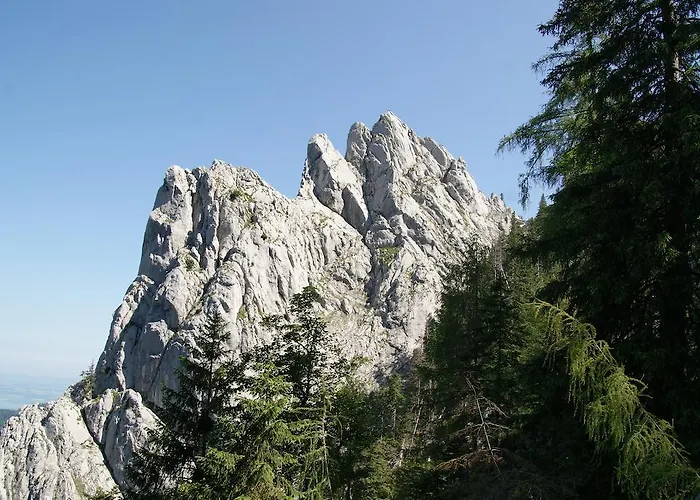 Κατάλυμα σε φάρμα Feichtingerhof Steinbach am Attersee