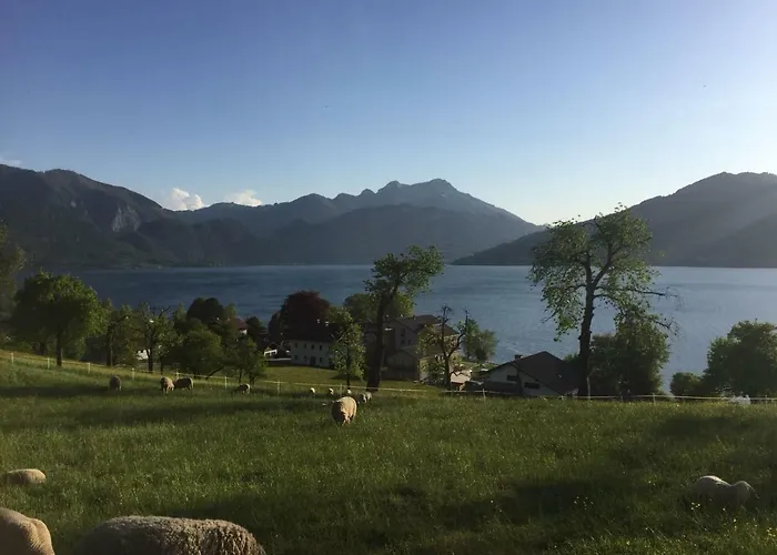 Фермерский дом Feichtingerhof Штайнбах-ам-Аттерзее