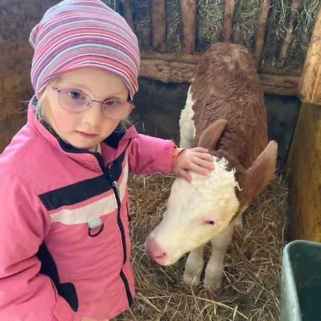 Feichtingerhof Lantgård