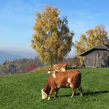 Lantgård Feichtingerhof *