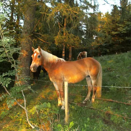 Feichtingerhof Steinbach am Attersee
