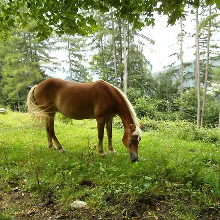 Feichtingerhof * Steinbach am Attersee