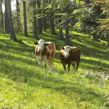 Feichtingerhof * Steinbach am Attersee