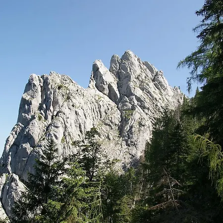 Lantgård Feichtingerhof Steinbach am Attersee