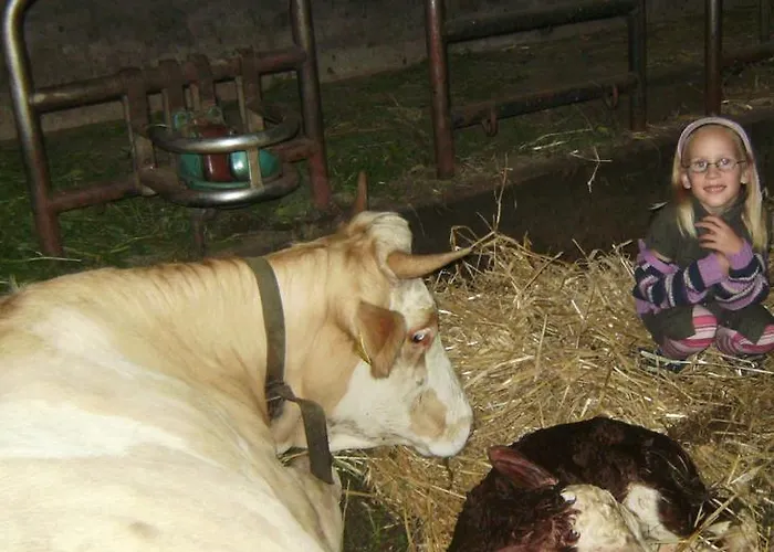 Feichtingerhof شتاينباخ آم أترزي