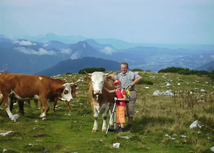 Feichtingerhof * شتاينباخ آم أترزي